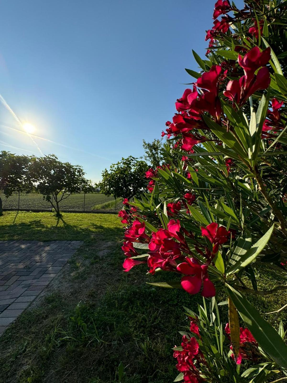 La Casa Di Igni Bed & Breakfast San Dona di Piave Exterior photo